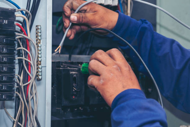 Best Electric Panel Repair  in Twin Lakes, CA